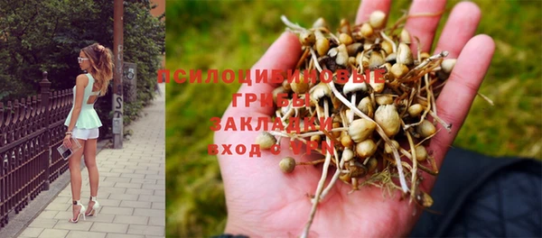 MESCALINE Абинск
